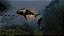 ManEater PS5 Midia Fisica - Imagem 6