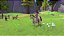 Barbie Horse Trails Switch Midia Fisica - Imagem 2