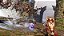 Fire Emblem Warriors Three Hopes Switch AU Midia Fisica - Imagem 5
