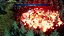 Brigandine Abyss Deluxe Edition PS5 Midia Fisica - Imagem 5