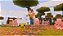 Minecraft Switch 2 BR - PRÉ-VENDA - Imagem 4