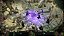 Warhammer 40000 Rogue Trader Voidfarer Edition Switch 2 Midia Fisica - Imagem 3