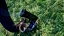 Squirrel with a Gun PS5 Midia Fisica - Imagem 2