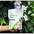 Ferilizante Orgânico Forth Maxgreen Farinha de Osso 1 Kg - Imagem 2