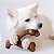 Brinquedo de Roer Benebone wishbone bacon M - Benebone - Imagem 1