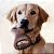 Brinquedo de Roer Benebone Dental Chew Bacon G - Benebone - Imagem 1