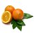 LARANJA BAHIA IMP. 1 UNID. APROX. 260GR. - Imagem 1