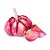 ALHO ROXO 2 UNID. APROX. 150GR. - Imagem 1