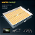 Kit Grow Mars Hydro 60x60 para Cultivo Indoor com LED 150w - Imagem 7