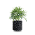 VASO CULTIVANDO SUSTENTO AIR GROW 21,2 LITROS D:30CM A:30CM - Imagem 3