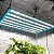 PAINEL DE LED MAXXI CULTIVANDO SUSTENTO BARRA 480 W c LM301H - Imagem 11