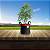 VASO DE FELTRO GROW BAG CULTIVANDO SUSTENTO MAXXI 15 LITROS - Imagem 3