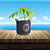VASO DE FELTRO GROW BAG FORTE CULTIVANDO SUSTENTO 26 LITROS - Imagem 3