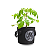 VASO DE FELTRO GROW BAG FORTE CULTIVANDO SUSTENTO 11 LITROS - Imagem 8