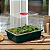 ESTUFA CLONAGEM E GERMINAÇÃO PEQUENA ACRILICO RIGIDO 23x17x19 Cm - GARLAND - Imagem 2