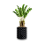 VASO CULTIVANDO SUSTENTO AIR GROW 12.5 LITROS D:20CM A:40CM - Imagem 3
