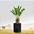 VASO CULTIVANDO SUSTENTO AIR GROW 12.5 LITROS D:20CM A:40CM - Imagem 4