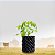 VASO CULTIVANDO SUSTENTO AIR GROW 7,9 LITROS D:20CM A:25CM - Imagem 4