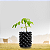 VASO CULTIVANDO SUSTENTO AIR GROW 3.5 LITROS D:15CM A:20CM - Imagem 4