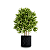 VASO CULTIVANDO SUSTENTO AIR GROW 50 LITROS D40CM A40CM - Imagem 3