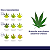 Fertilizante Mineral Plant Prod MJ Bloom 10-30-20 500g - Imagem 10