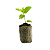 Pastilha Celula De Germinacao E Clonagem Turfa Jiffy 42X75MM - Imagem 1