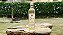 Licor Artesanal Gourmet de Lima da Pérsia - Imagem 1
