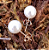Colar e Brincos de Pérolas em Aço Inoxidável: Elegância Atemporal - Imagem 3