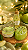 Kit Banho Explosão de Maçã Verde 🍏 - Imagem 1