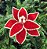 Flor De Natal Poinsetia Vermelha/bco 30x20x20cm - Imagem 1
