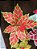 Flor De Natal Poinsetia Vermelha e Verde 30x20x20cm - Imagem 2