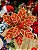 Flor De Natal Poinsetia Vermelha e Marrom 30x20x20cm - Imagem 1