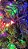 PISCALED-50 METROS 240LEDS -COLORIDO - 110V LED PIMENTINHA - Imagem 1