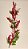 GALHO DECORATIVO BERRY E FOLHAS 50CM - Imagem 1