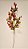 GALHO DECORATIVO BERRY E FOLHAS 40CM - Imagem 1