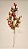 GALHO DECORATIVO BERRY E FOLHAS 40CM - Imagem 2