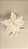 Pick Poinsetia Glitter Branco 24x23cm - Imagem 4