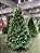 ÁRVORE PINHEIRO REALISTA 2.40M 2803 GALHOS COM 1300 LEDS NA COR VERDE - Imagem 3