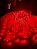 PISCA CORDAO LED VERMELHO STROBO 20M 900 LEDS - Imagem 1