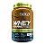 Whey Protein Concentrado Zero Lactose (900g) - Imagem 1