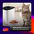 Alimentador Inteligente Wi-Fi, 4 Litros, para Pets, HIPETCOM, Compatível com Alexa, Branco - Imagem 7