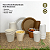 Kit Festa Descartável Sustentável Prato, Copo, Pote 50 pessoas - Imagem 1