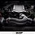 Kit Supercharger Ford Performance Mustang 24+ Stage 1 GT/Dark Horse - Imagem 6