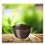Cachepô Para Cuia Samambaia Nutriplan - 21cm - Imagem 4