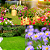 Adubo Fertilizante Forth Jardim - 400g - Imagem 3