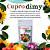 Kit 2 Fertilizante Mineral Cupro Dimy - 300g - Imagem 2
