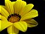 Adubo Fertilizante Para Flores Npk+9 Forth Flores - 3kg - Imagem 5
