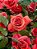 Adubo Fertilizante Para Flores Npk+9 Forth Flores - 3kg - Imagem 7