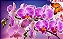 Adubo Fertilizante Para Flores Npk+9 Forth Flores - 3kg - Imagem 6