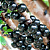 Fertilizante Mineral Misto Forth Jabuticabeiras - 400g - Imagem 6